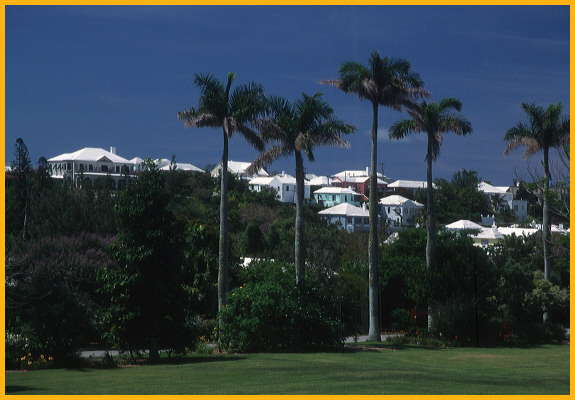 Bermuda Homes