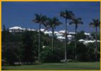 Bermuda Homes