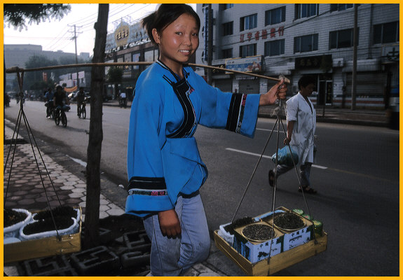 Tea Vendor