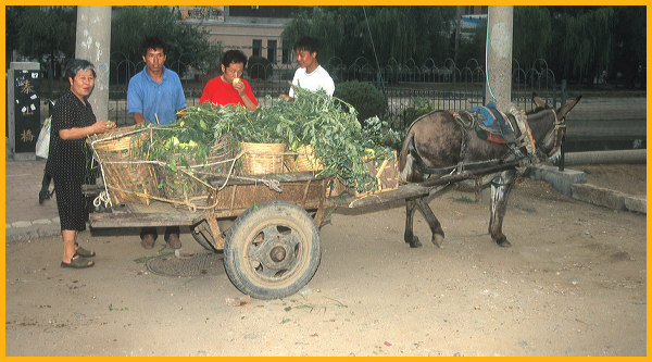 Peddler With Donkey Cart