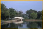 Curved Bridge Beiling Park