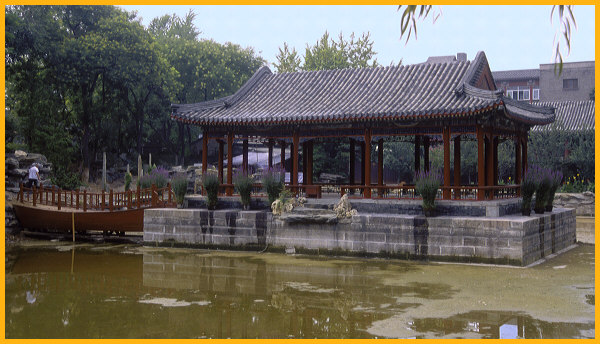 Tea Garden