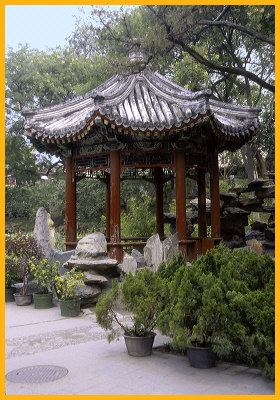 Tea Garden