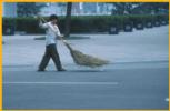 Street Sweeper