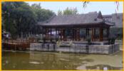 Tea Garden