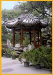 Tea Garden