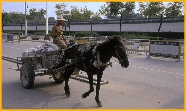 Horse Drawn Wagon