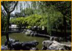 Lingering Garden