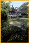 Master of Nets Garden