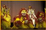 Playful Lions