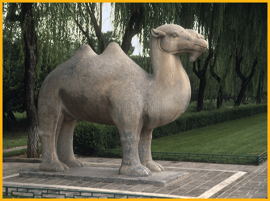 Standing Camel