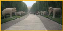 Sacred Way
