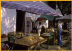 Street Vendors