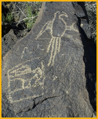 Macaw Petroglyph