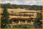 Spruce Tree House