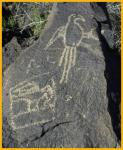 Macaw Petroglyph