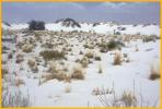 White Sand Dune