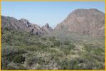 Chisos Basin