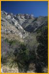 McKittrick Canyon