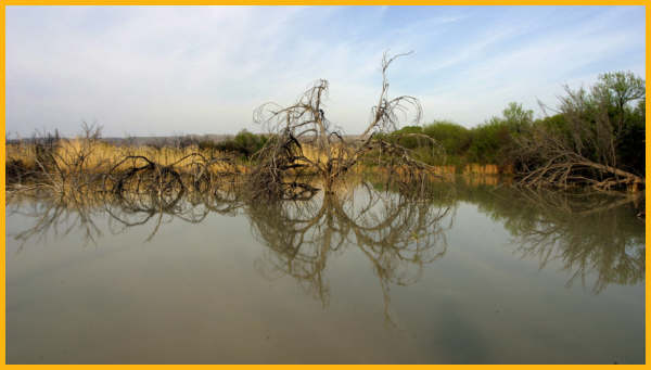 Nature Trail Pond