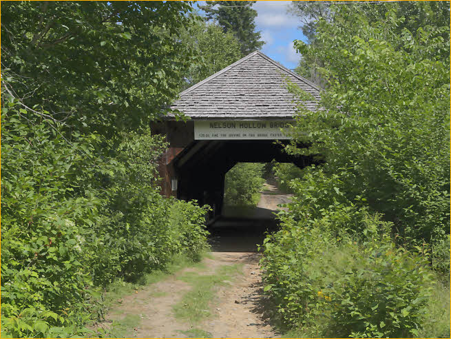 55-08-08 Nelson Hollow Bridge