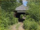 55-08-08 Nelson Hollow Bridge