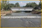 42-10-01 Elizabethon Bridge