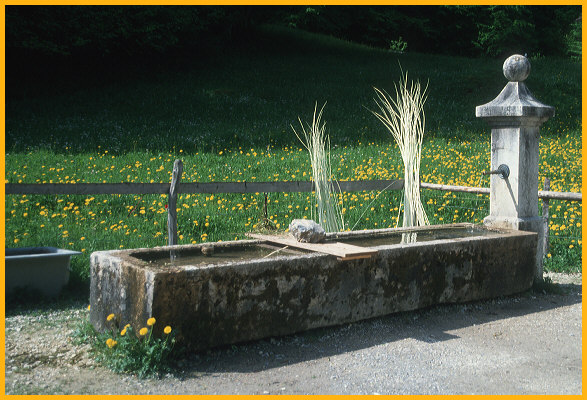 Water Trough