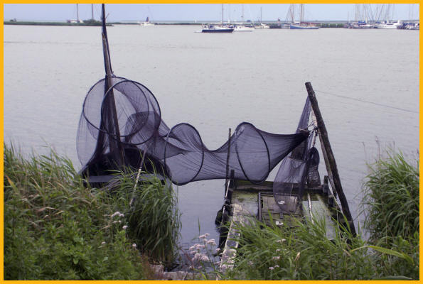 Fish Nets