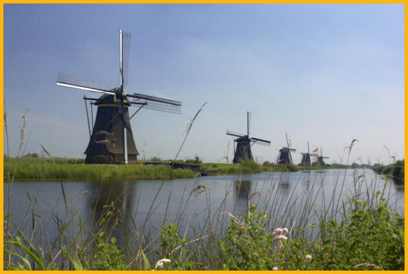 Five Wind Mills