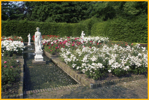 Garden Scene