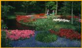 Keukenhof Gardens Netherlands