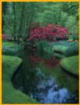 Keukenhof Gardens Netherlands