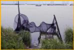 Fish Nets