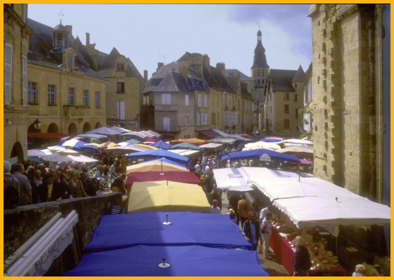 Market Overview