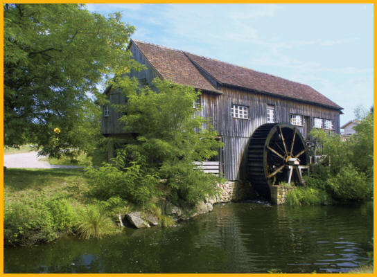 Saw Mill