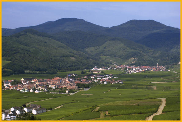 The Alsace