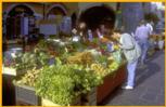 Vegetables