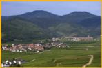 The Alsace