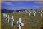 Fallen Heroes