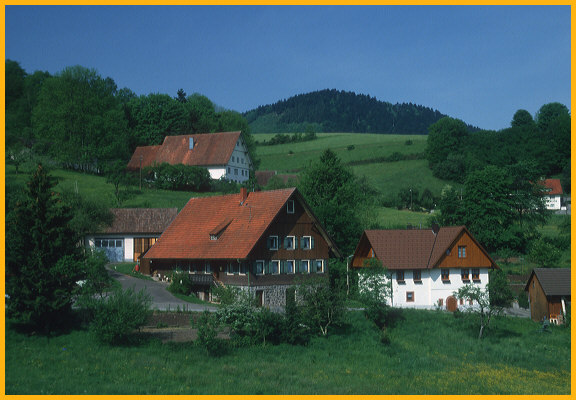 Black Forest Homes