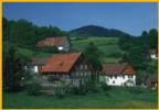 Black Forest Homes