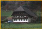 Black Forest Home