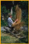 Thatching
