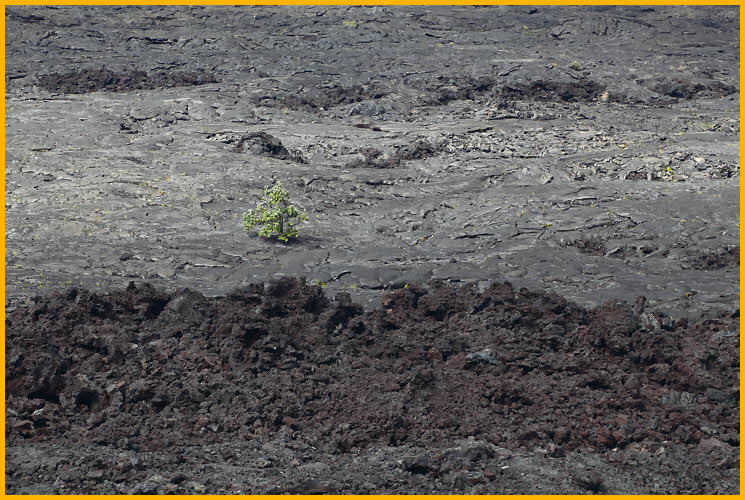 Rough and Smooth Lava