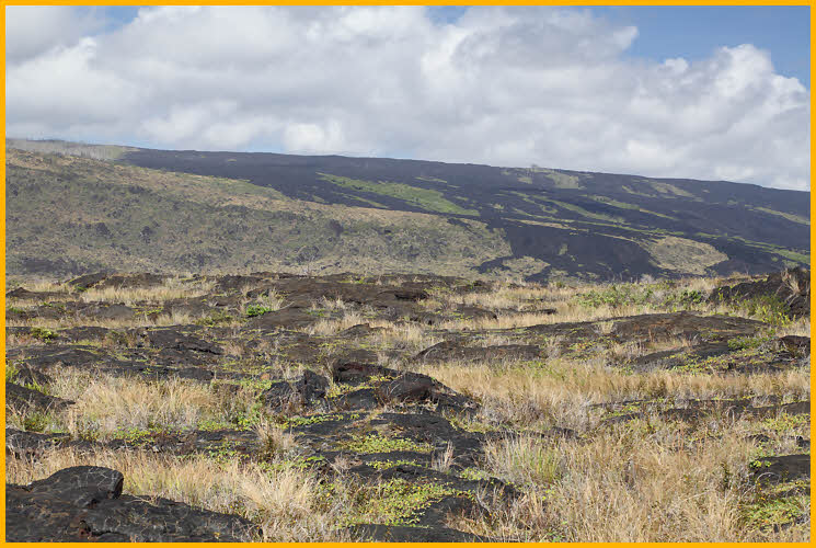 Lava Flows Going to the Sea
