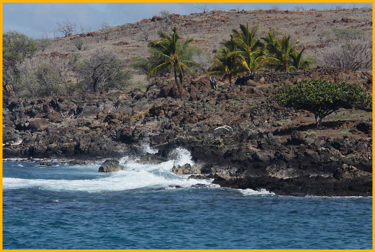 Sea Coast