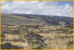 Lava Flows Going to the Sea