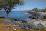 Sea Coast