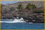 Sea Coast